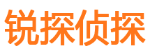 龙海调查事务所